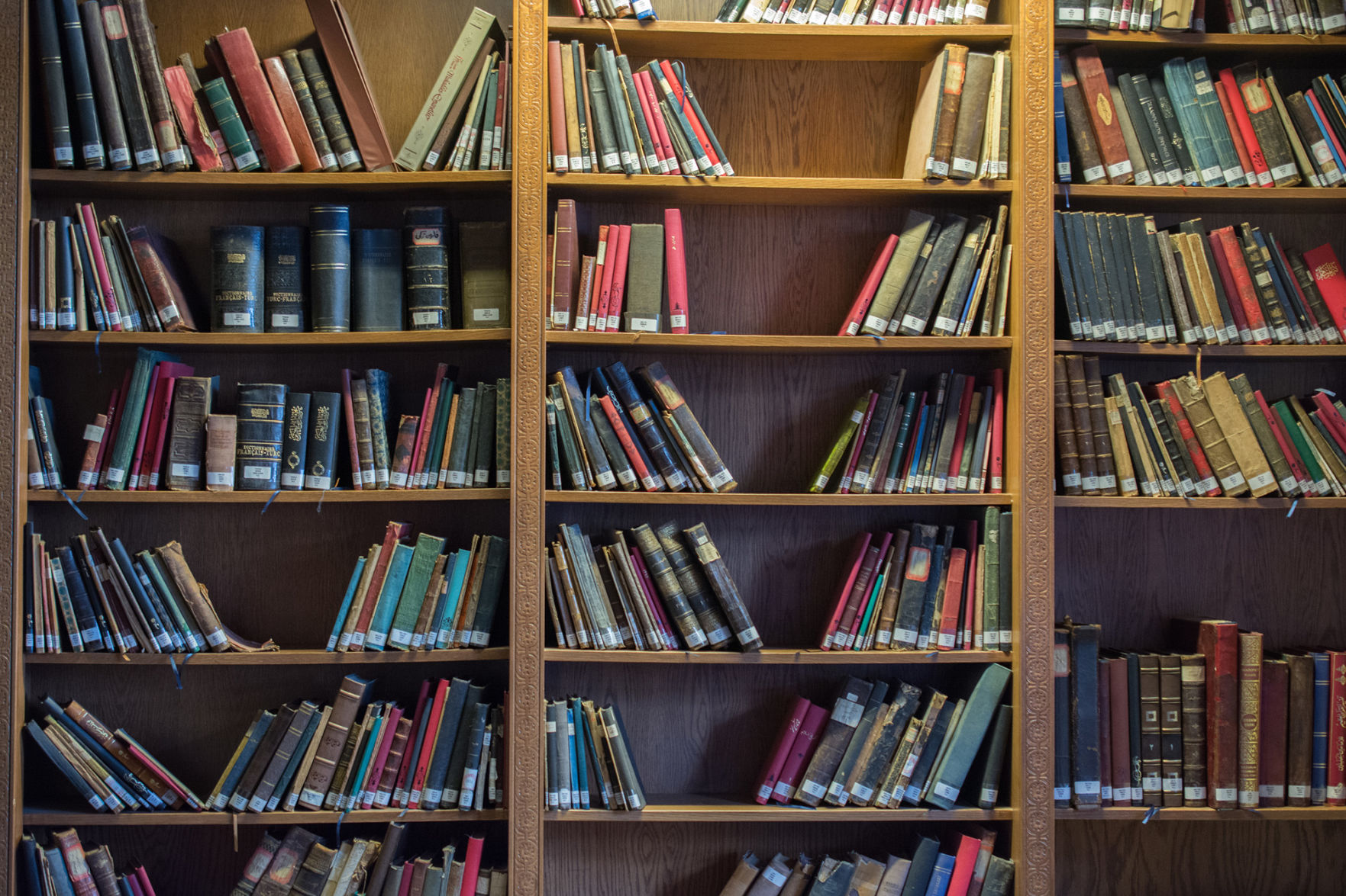 Shelfie